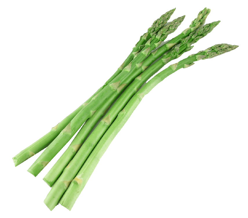 Asparagus Bundle Transparent Png (gray)