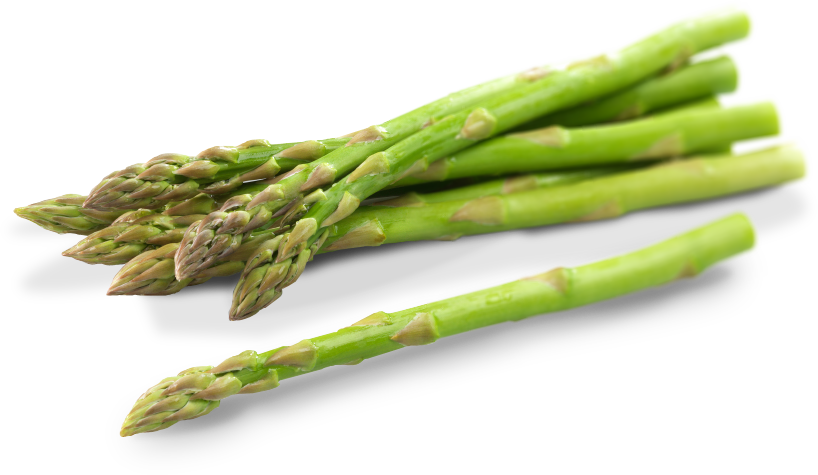 Asparagus Png Photos (white, black, gray)