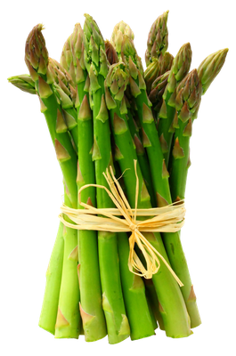 Asparagus Transparent Background (green, black, olive)