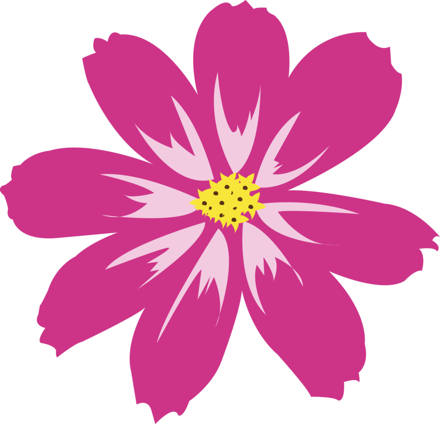 Aster Png Hd (salmon, purple, black, pink)