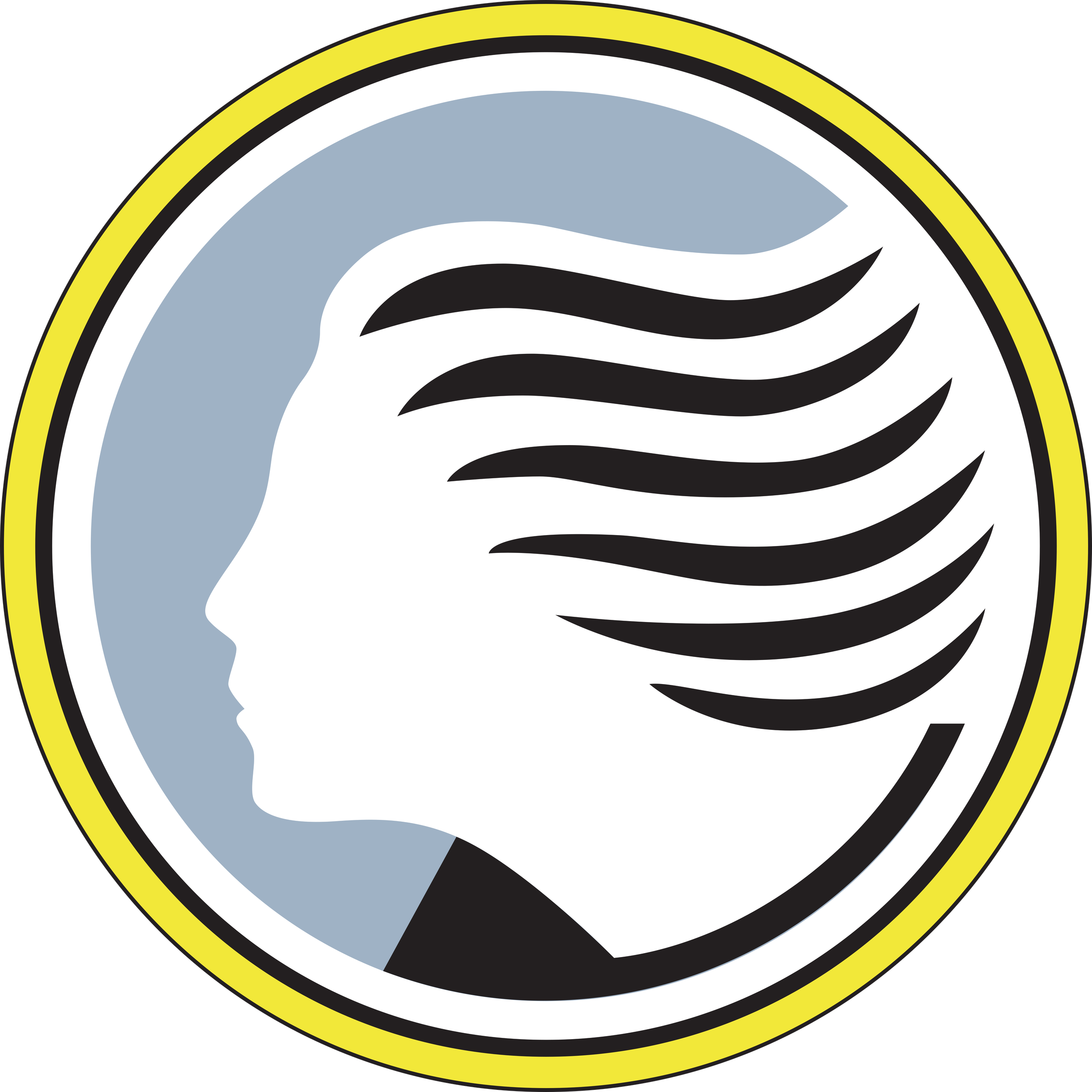 Atalanta B.C Png (white, black, yellow, silver)