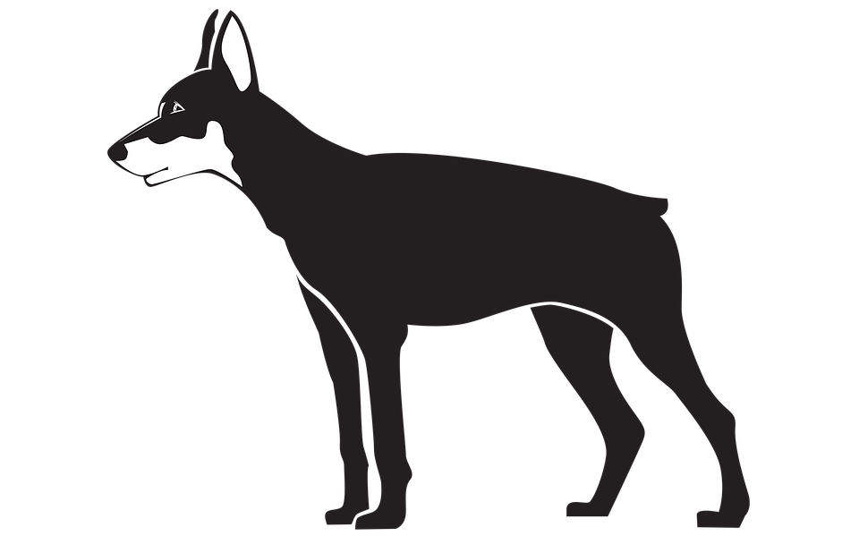 Standing Black Dog Transparent Png (white, black)