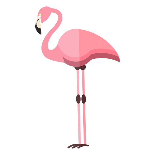 Standing Flamingo Bird Vector Transparent Png (pink, salmon, black)