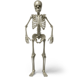 Standing Skeleton Halloween Free Nobackground Png Icon Download (gray, black)