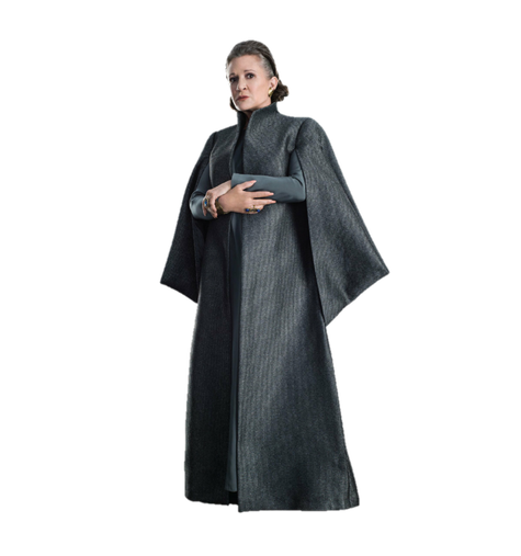 Star Wars Princess Leia Png Transparent Image (gray, black)