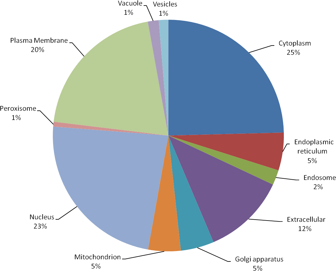 Statistics Vector Transparent (chocolate, black, gray, silver)