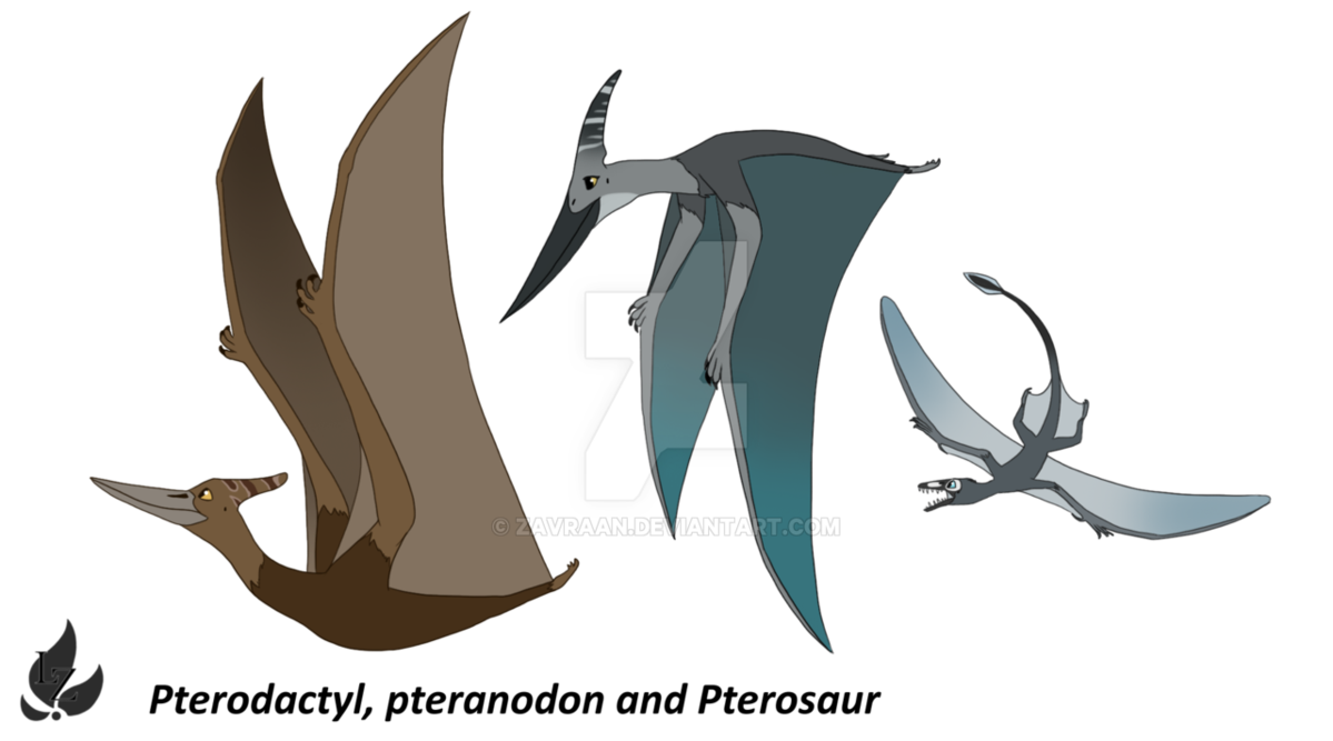 Pterosaurs Background Png (gray, maroon, black, teal, white)