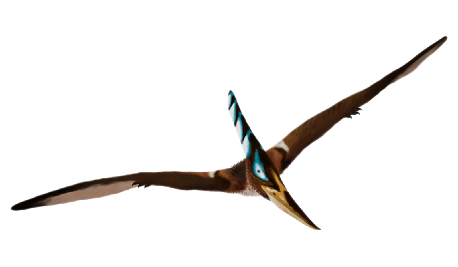 Pterosaurs Download Png Image (black)