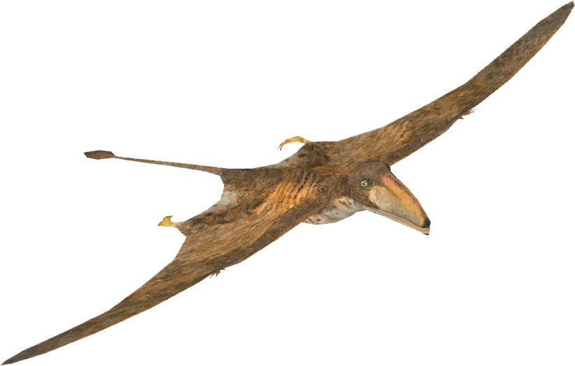 Pterosaurs Png Picture (olive, beige, white)