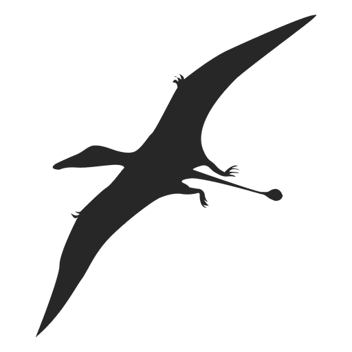 Pterosaurs Png Transparent Image (gray, black)