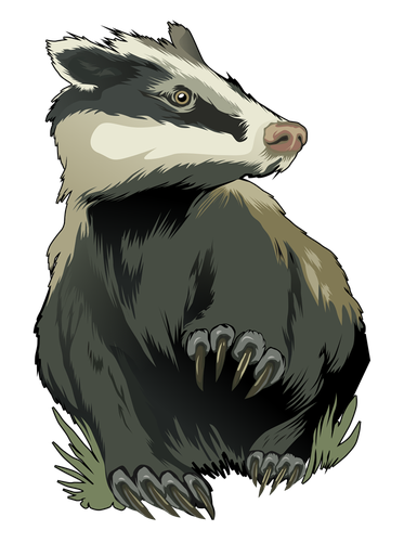 Stink Badgers Png Isolated Image (indigo, black, gray, beige)