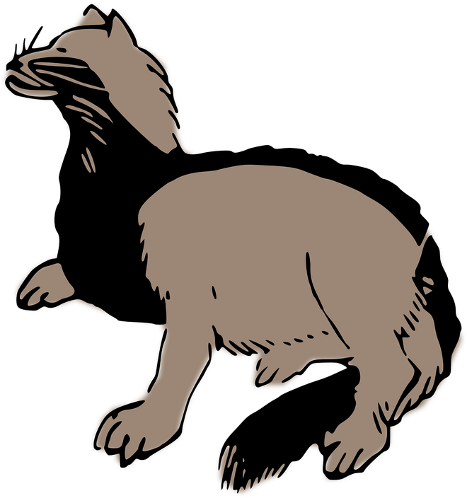 Stink Badgers Png (black, gray)