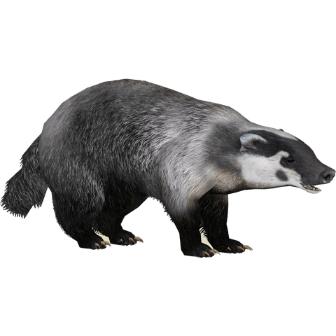 Stink Badgers Transparent Png (indigo, black)