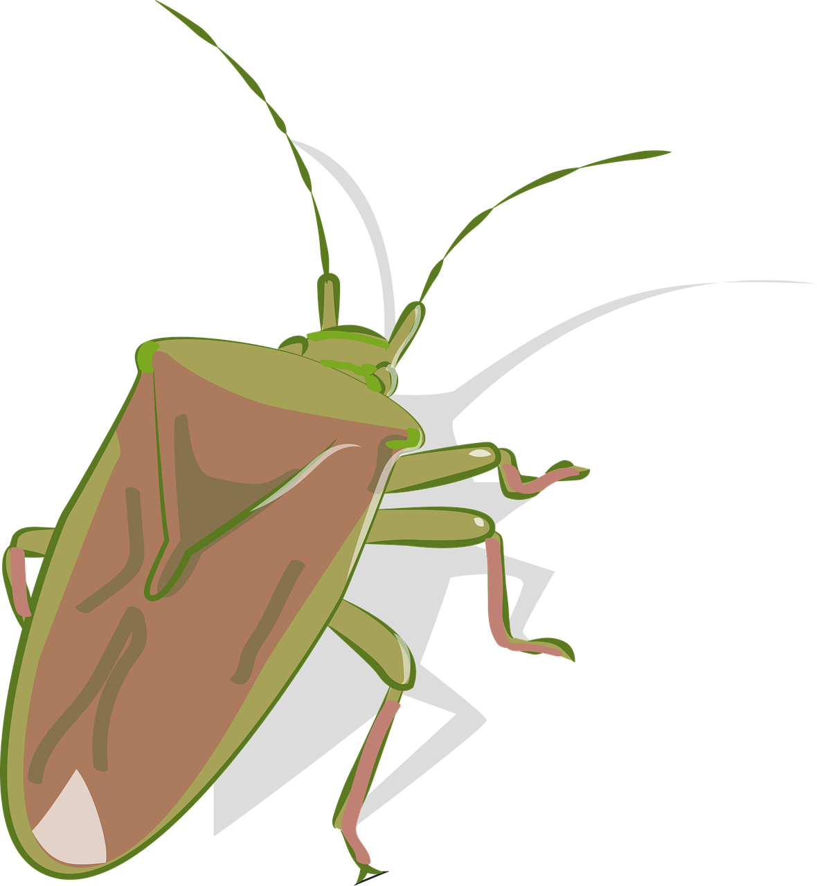 Stink Bugs Png Isolated Hd (black, gray)