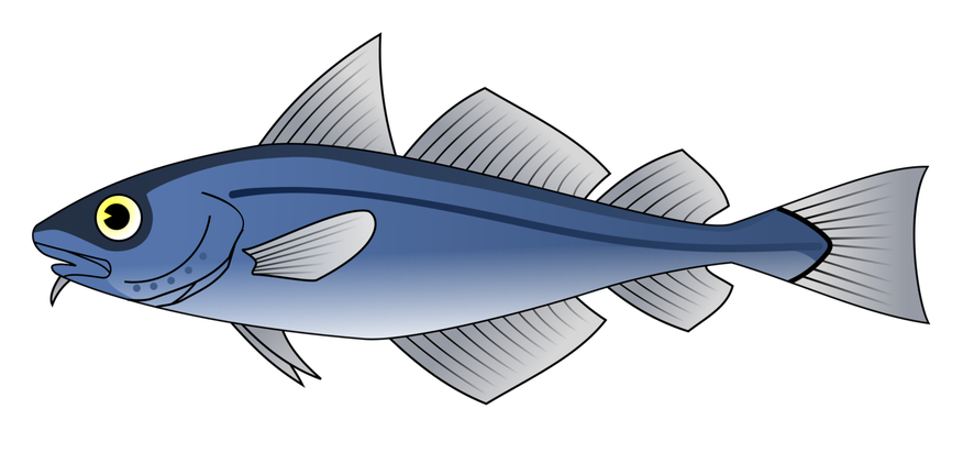 Atlantic Cod Png Isolated Hd (black, gray, silver)