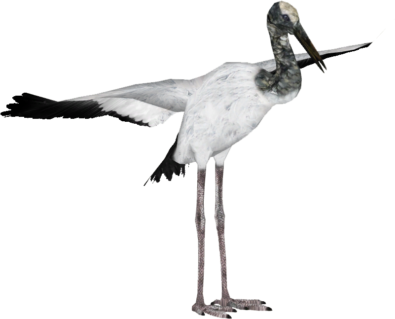 Stork Png Image (black)