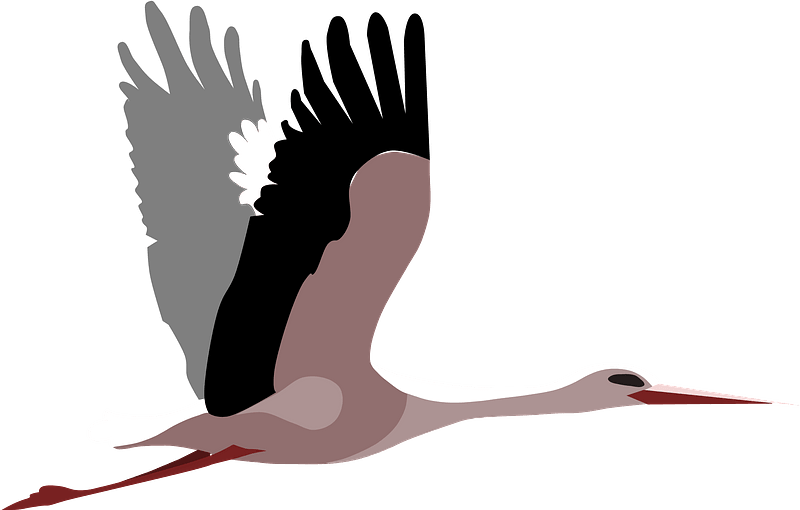 Stork Png Photos (black, gray, white)