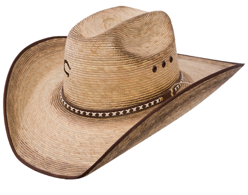 Straw Hat Png Images Hd (black, salmon, gray, silver)