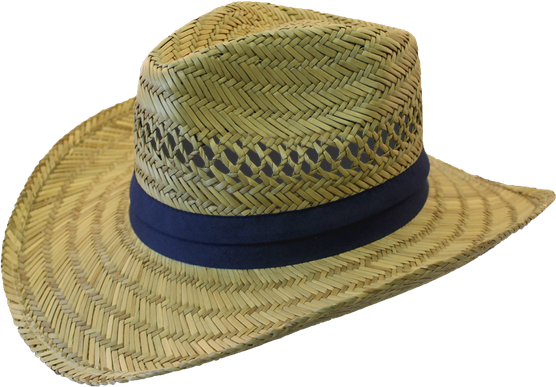 Straw Hat Png Picture (olive, black, navy, gray)