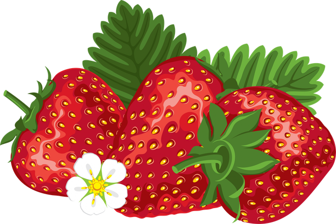 Strawberries Vector Png Hd (black, green, maroon, white, olive)