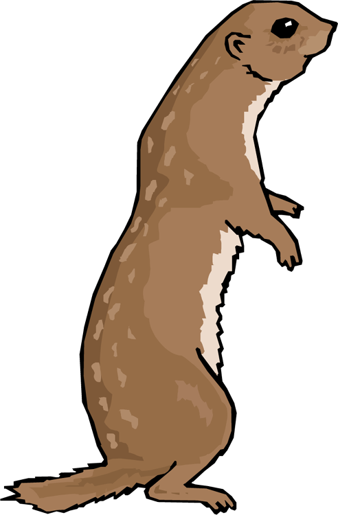 Otter Png File (white, gray, black)