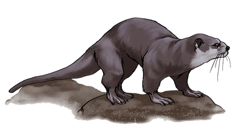 Otter Png Free Download (indigo, gray, black)