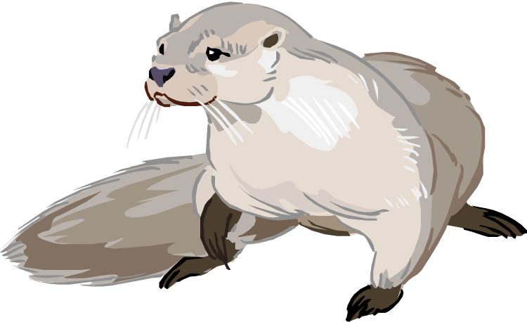 Otter Png Photo (beige, gray, silver, black, white)