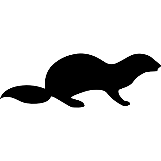 Otter Png Photos (gray, indigo, lavender, black, white)