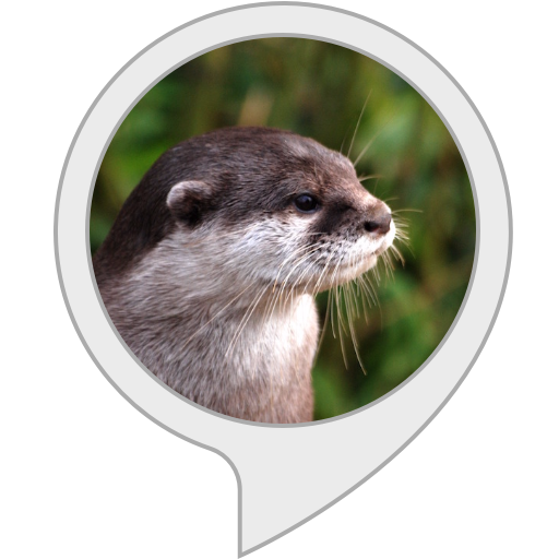 Otters Png Image (gray, lavender, black)