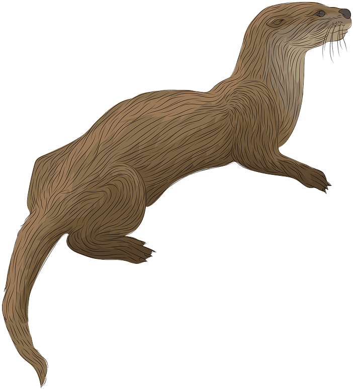 Otters Png Isolated Image (gray, black, olive)