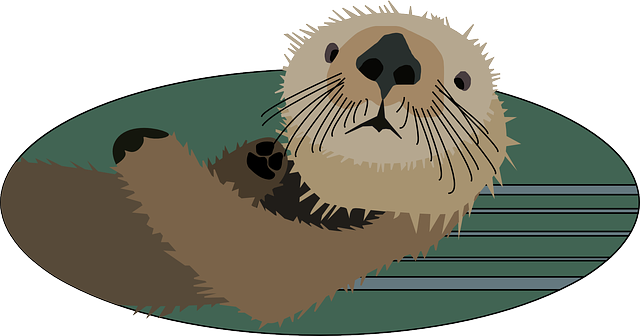 Otters Png Photo (gray, silver, olive, teal, white)