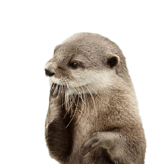 Otters Png Pic (gray)