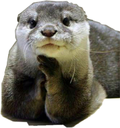 Otters Png (black)