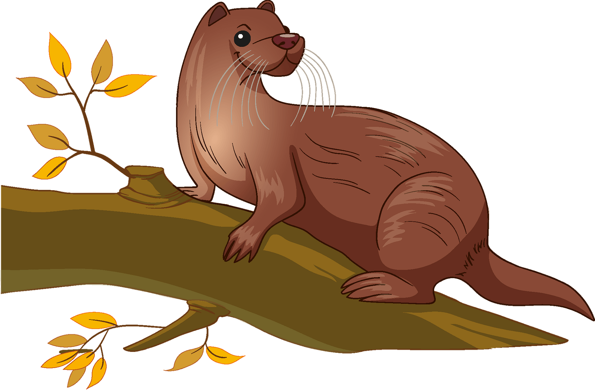 Otters Transparent Png (maroon, gray, olive)