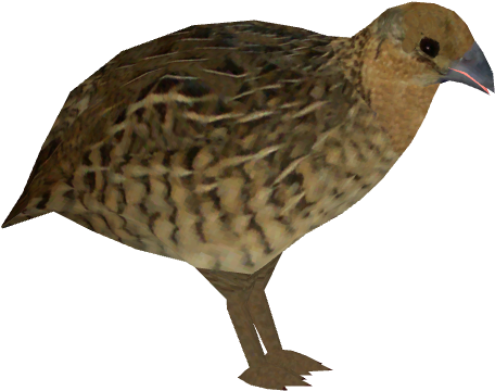 Quail Png Photo (olive, black)