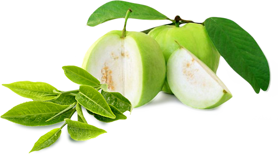 Guava Png Image (olive, white)