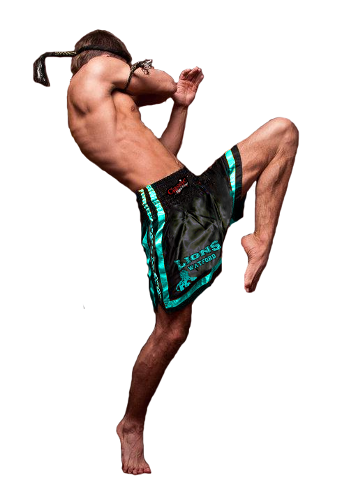 Muay Thai Png Photo (teal, lavender, white)