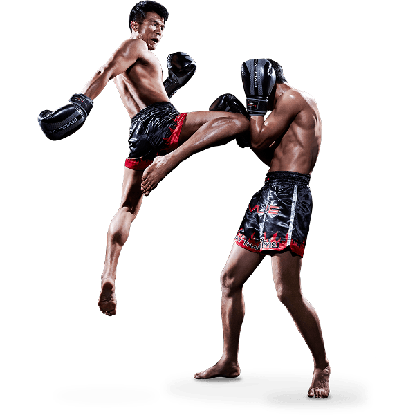 Muay Thai Training Png Image Hd (black)