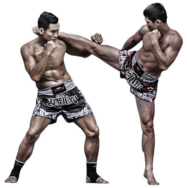 Muay Thai Training Png Photos (black)