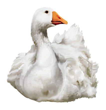 Duck Png Transparent Image (lavender, black)