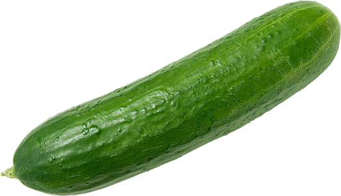 Cucumbers Png Clipart (olive, black, gray, green)