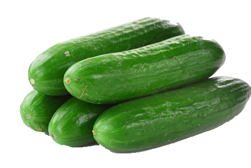 Cucumbers Png File (olive, white, green)