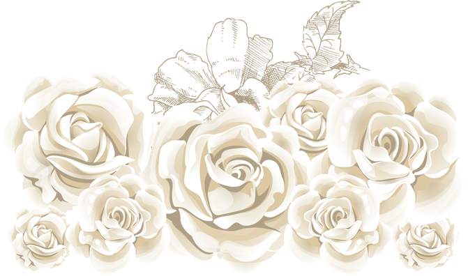 Bud Png Clipart (white, beige, black)