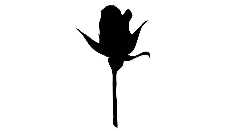 Bud Png Picture (white, black, gray)