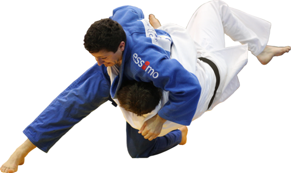 Judo Png Image (gray, silver, olive, salmon, white)