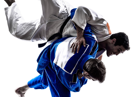 Judo Png Transparent Image (white)