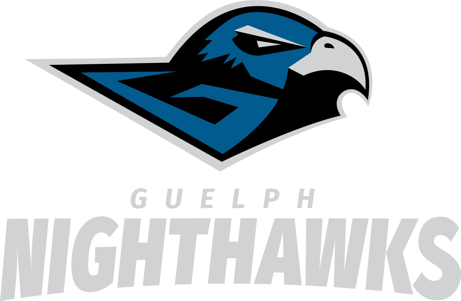 Guelph Nighthawks Png Hd (teal, black, gray, silver)