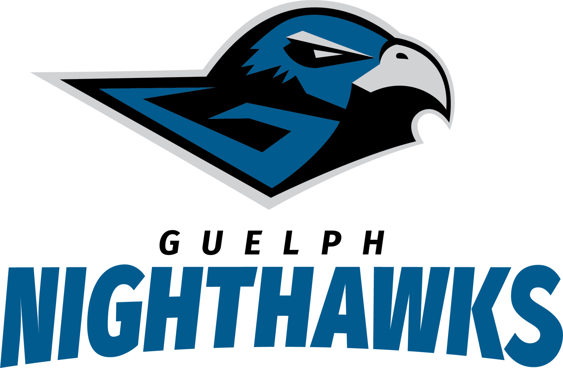 Guelph Nighthawks Png (teal, black, gray)