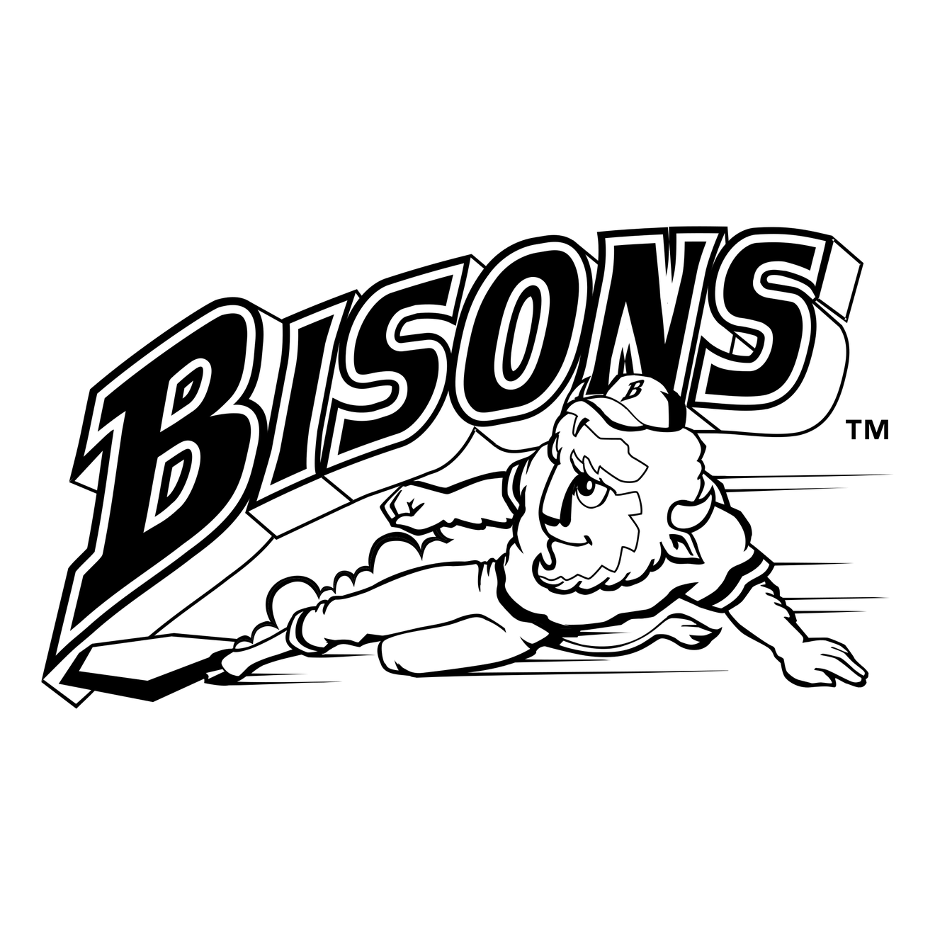 Buffalo Bisons Png Hd (white, black, gray, silver)