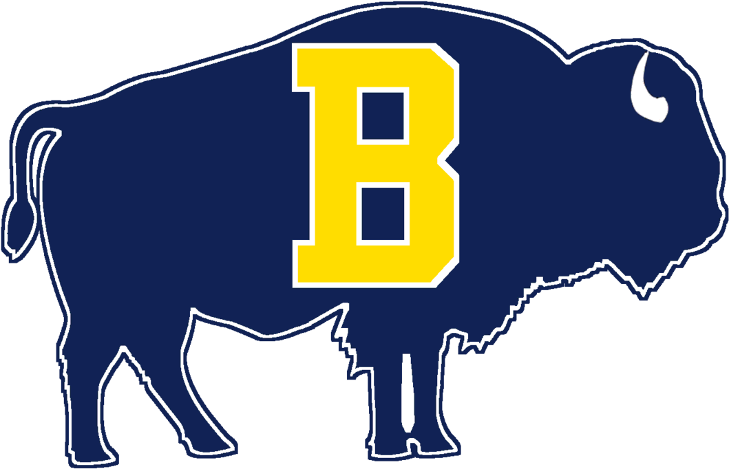 Buffalo Bisons Png Pic (gold, black, navy)